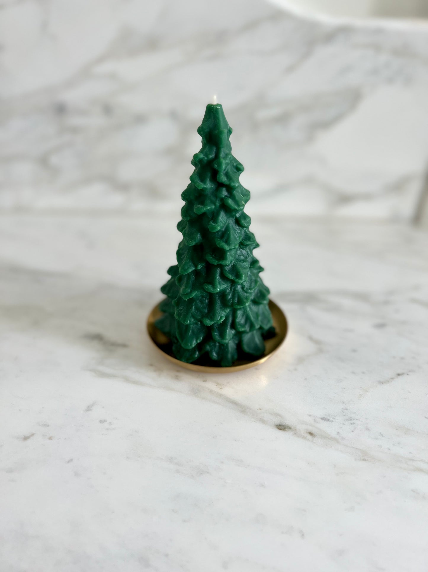 Beeswax Evergreen Tree