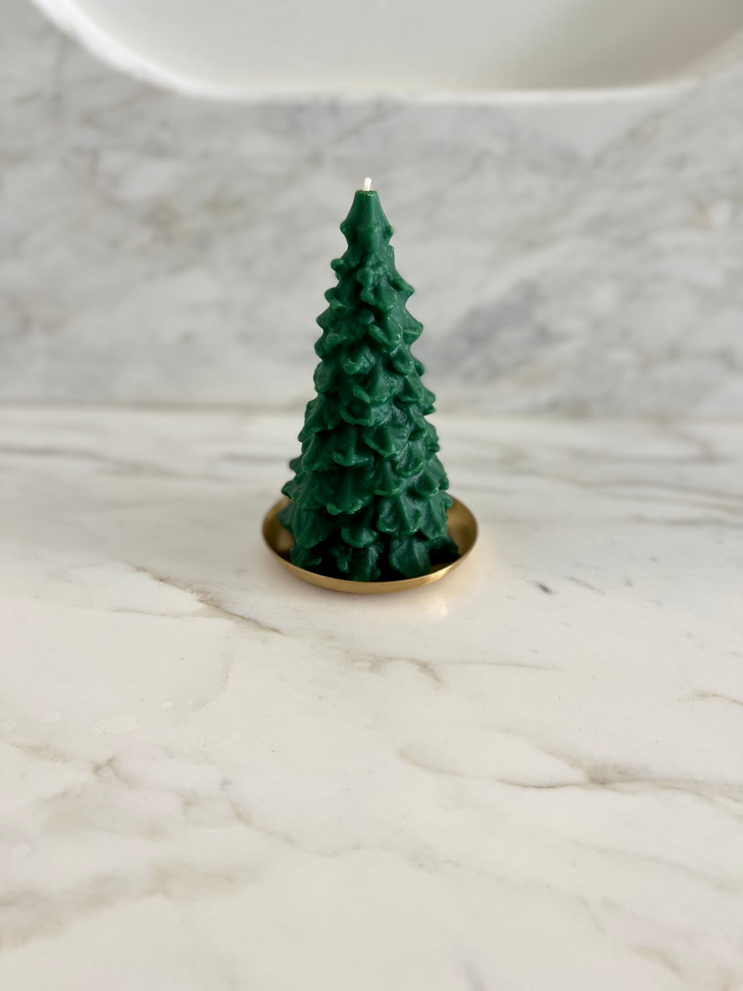 Beeswax Evergreen Tree