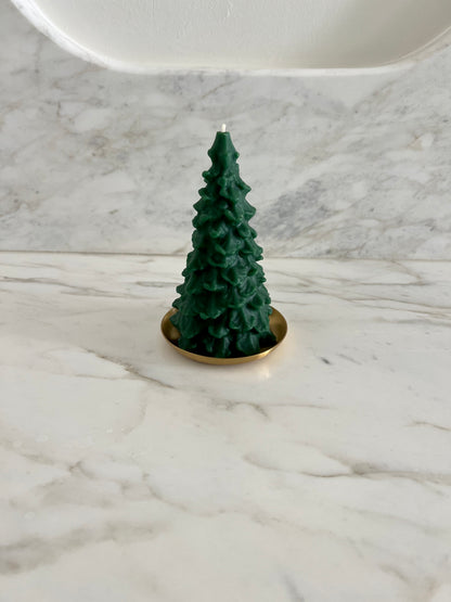 Beeswax Evergreen Tree