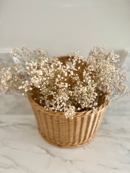 Hanging Basket