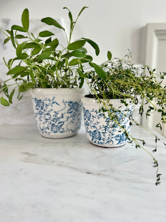 Blue & White Pot